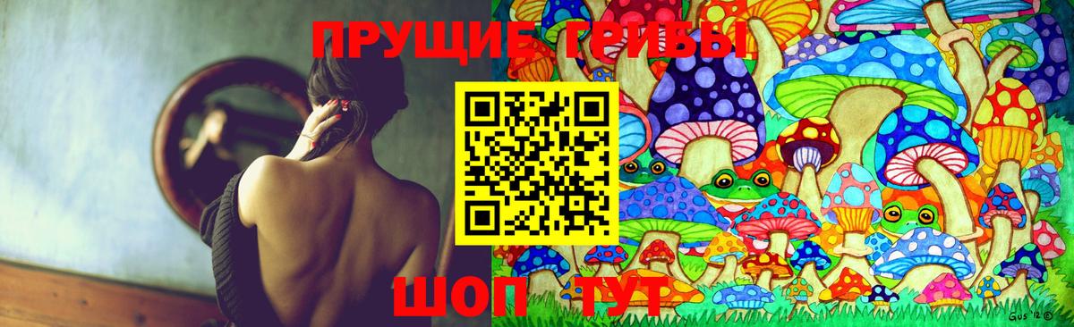 Псилоцибиновые грибы MAGIC MUSHROOMS  Вход с VPN  Воронеж 